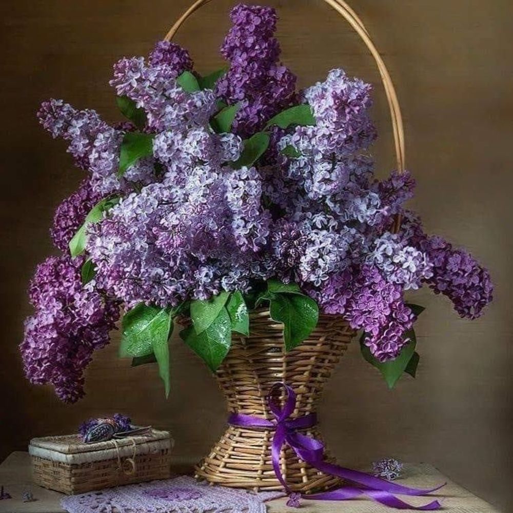 Meet your Posher, Edwin cindy